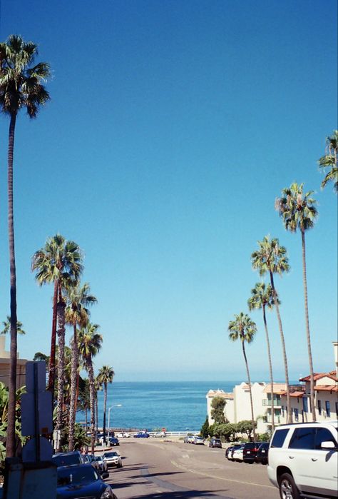 Beach, film, palm trees, California San Diego Astethic, San Diego Aesthetic, San Diego Summer, San Diego Coronado, Los Angeles Wallpaper, San Diego Homes, Amalfi Coast Positano, Miss California, La Jolla California