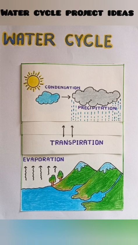 Pirjada Arif I Tlm creativity | Water cycle project | water cycle project making | #watercycle #project #art #watercycleproject💧☔️☀️☁️📝 #drawings #shorts… | Instagram Watercycle Kids Project, Parts Of Plant Project, Water Cycle Project, Kids Craft Work, Human Body Science Projects, Science Exhibition Projects, Science Exhibition, School Science Projects, Science Models