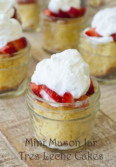 Mini Mason Jar Tres Leches Cakes | Garlic Girl Mini Tres Leches Cake, Mini Strawberry Shortcake, Mason Jar Cakes, Jar Desserts, Mini Mason Jar, Mason Jar Desserts, Fudge Flavors, Cake Liner, Cake In A Jar