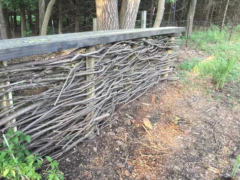 How to Turn Dreaded Buckthorn Into an English Wattle Fence DIY | Hometalk Pallet Privacy Screen, Wattle Fence, Privacy Screen Fence, Fence Diy, Picket Fence Panels, Easy Patio, Patio Privacy Screen, Compost Pile, Cucumber Trellis