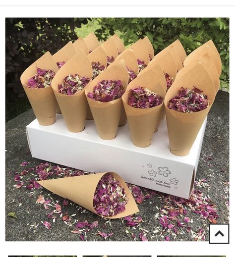 Confetti Cones, Biodegradable Confetti, Flower Confetti, House Moving, Petal Confetti, Paper Cones, Future Wedding Plans, School House, Wedding Confetti