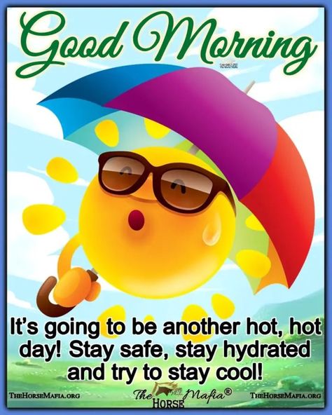 Happy Kids Quotes, Hot Weather Humor, Great Day Quotes, Very Good Morning Images, Happy Day Quotes, Funny Day Quotes, Happy Wednesday Quotes, Good Morning Funny Pictures, Good Morning Sunshine Quotes