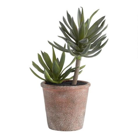 Faux Succulents in Rustic Pot | World Market Flowers Bucket, Rustic Pot, Rustic Pots, Forever Green, House Plant Pots, Living Room Entry, Fake Succulents, New Home Build, Faux Tree