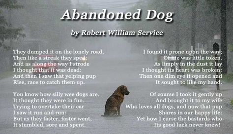 Abandoned Dog Dog Emotions, Dogs Quotes, Dog Poems, Hair Growing Tips, Uncommon Words, Dog Heaven, Angel Cat, Beloved Dog, Dog Memorial