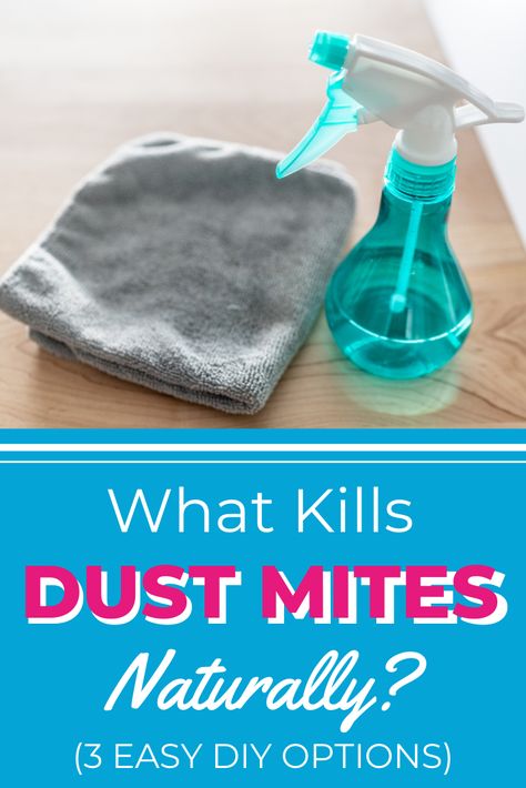 Ever wondered what dust mites are? Or how to get rid of dust and dust mites for good? In this article, we answer all your questions on the topic, including whether dust mites can live in hair. Dust Mite Allergy Remedies, Dust Mite Spray, Kill Mold, Dusting Tips, Dust Mite Allergy, Dusting Spray, Dust Allergy, Allergy Remedies, Damage Hair