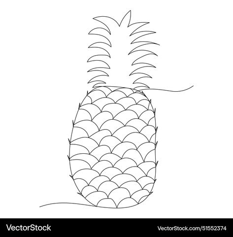 Exotic Fruit, Line Drawing, Vector Images, Vector Free, Royalty Free, Drawings