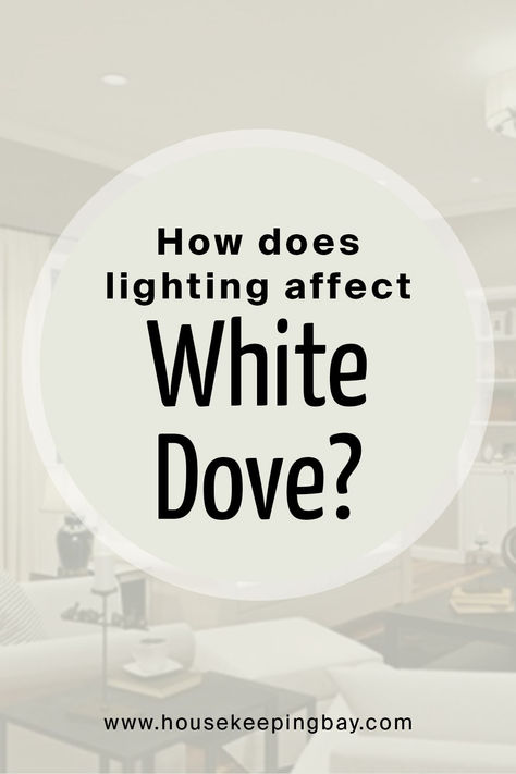 How does lighting affect White Dove OC 17 White Paint Colors For Bedroom Walls, Best White Bedroom Paint Colors, White Dove Basement Walls, Sw White Dove Paint, Benjamin Moore White Dove Bedroom, White Dove Paint Benjamin Moore, Pale Oak Vs White Dove, Dove White Paint Color, White Dove Benjamin Moore Living Room