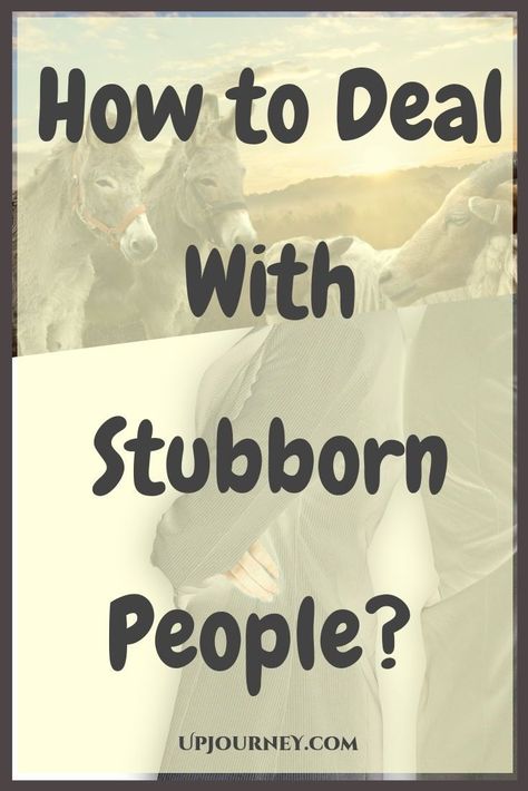 Be it a child or an adult; their stubbornness can be infuriating at times. While a child can still be disciplined and taught to do.. Stubborn Quotes, Stubborn People, Be Disciplined, Relationship Goals Quotes, Journal Challenge, Best Self Help Books, Negative Traits, Lack Of Empathy, Hard Quotes