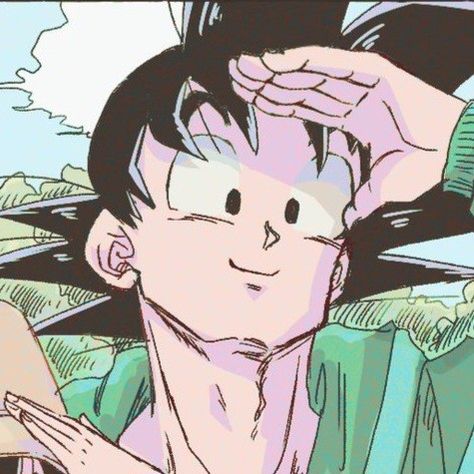 Goku Matching Pfp, Dragon Ball Matching Pfp, Chichi X Goku, Dbz Pictures, Goku Pics, Cybergoth Anime, Goku And Chichi, Match Icons, Anime Dragon Ball Goku