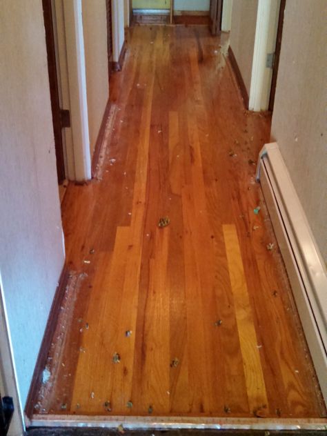 How To Clean Old Hardwood Floors, Rip Up Carpet Diy Hardwood Floors, Removing Old Carpet, How To Fix Hardwood Floors, Restoring Hardwood Floors, Carpet Removal, Carpet Over Hardwood Floors, Removing Carpet From Hardwood, Remove Carpet