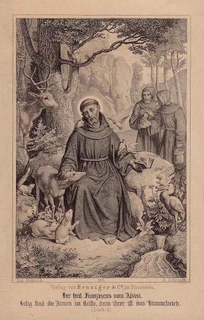 Francis Of Assisi Art, Francis Assisi, Cloud Of Witnesses, St Francisco, St Francis Assisi, Roman Catholic Art, Catholic Aesthetic, Saint Francis Of Assisi, Patron Saint Of Animals