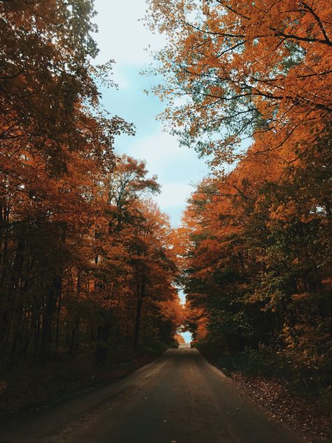 Up North Aesthetic, North Aesthetic, Michigan Fall, Forest Road, Up North, Northern Michigan, Autumn Vibes, Fall Weather, Beautiful Picture