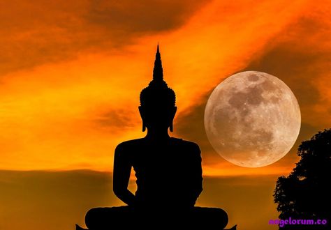 9 Ways to Make the Most of Tonight's Full Moon Full Moon In Virgo, Full Moon Day, Moon In Virgo, Moon Day, Meditation Relaxation, Moon Silhouette, Zen Colors, Virgo Moon, Super Moon