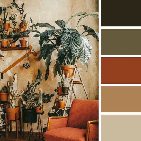 Natural and rustic colors that bring your boho color scheme up to style. This burnt orange chair, natural wall and these dark green plants are perfect boho colors for any room. #boho #decor #colorschemes #colors Sage Green Room Accents, Gold Color Scheme Bedroom, Rust Rug Bedroom, Plant Room Color Scheme, Boho Color Scheme Living Rooms, Jungle Boho Living Room, Boho Decor Color Palette, Apartment Color Palette Living Room, Colors Aesthetic Palette