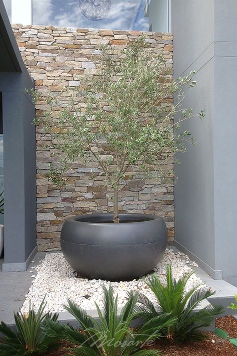 Extra large outdoor pots Modern Australian Garden, Huge Planters, Outdoor Pots And Planters, Prairie Planting, Pots Garden, Courtyard Gardens Design, Pots And Planters, Dry Garden, Garden Screening