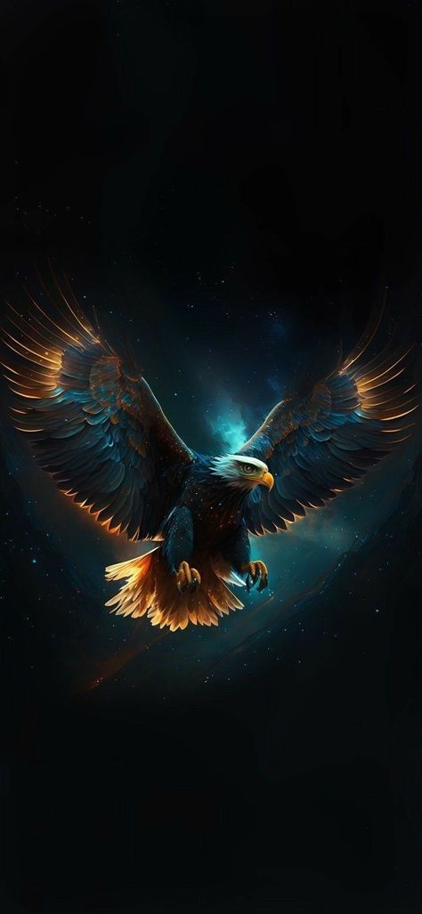 Eagle Background, Eagle Artwork, Wild Animal Wallpaper, Android Wallpaper Dark, Eagle Images, Dark Background Wallpaper, Eagle Wallpaper, Lion Photography, Eagle Pictures