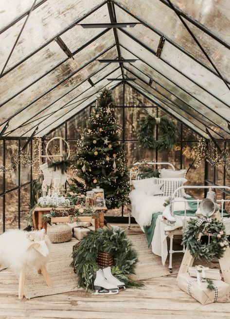 Greenhouse Christmas Photos, Greenhouse Photography Studio, Christmas Greenhouse, Greenhouse Studio, Winter Truck, Home Photo Studio, Christmas Pics, Christmas Mini Sessions, Photography Basics