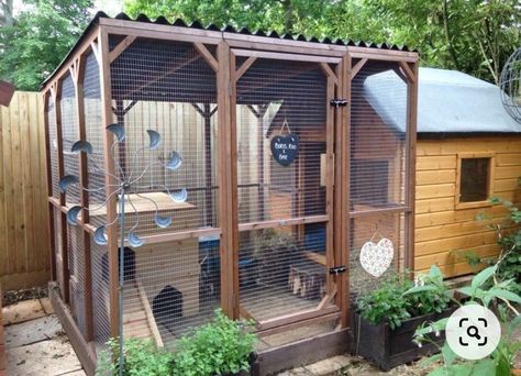 Bunny Enclosure Ideas, Bunny Enclosure, Bunny Sheds, Rabbit Shed, Rabbit Pen, Rabbit Enclosure, Playhouse Ideas, Childrens Playhouse, Enclosure Ideas