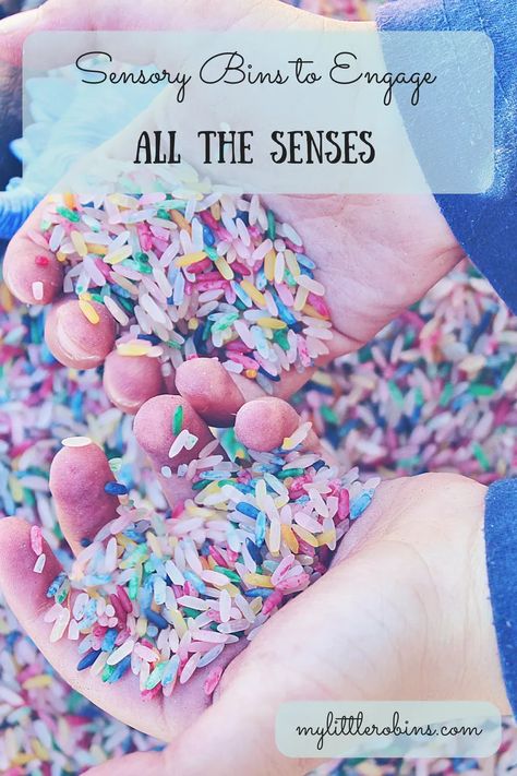 Sensory Bins That Engage ALL the Senses - My Little Robins Senses Sensory Bin, Five Senses Kindergarten, Turtle Classroom, Internal Battle, Five Senses Preschool, Grants For Teachers, Pre-k Science, Toddler Sensory Bins, Senses Preschool