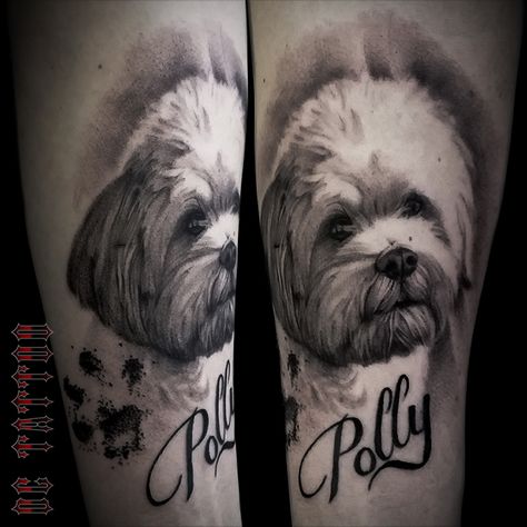 Shih Tzu Tattoo, Angry Birds Pigs, Dog Portrait Tattoo, Tattoo For Boyfriend, Tattoo Portrait, Cute Tats, Epic Tattoo, Traditional Tattoo Flash, Dog Flower