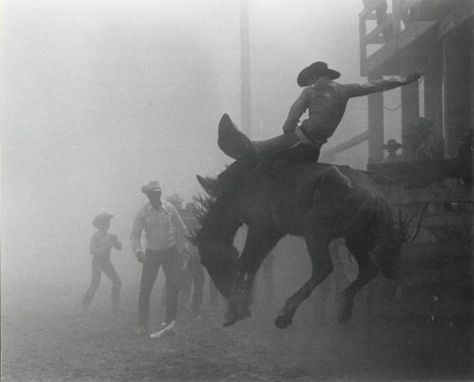 Bronc Riding, Rodeo Cowboys, Cowboy Aesthetic, Real Cowboys, Robert Frank, Between Two Worlds, Rodeo Life, Western Life, Cowboy Up