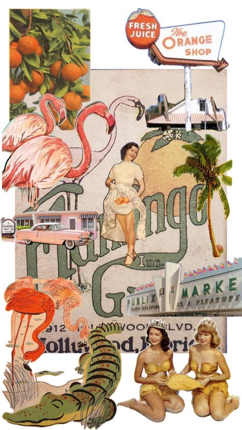 Old Florida style Vintage Flamingo Wallpaper, 90s Florida Aesthetic, Old Florida Paintings, Old Florida Themed Party, Old Florida Art, Florida Old Money Aesthetic, 80s Florida Aesthetic, Retro Florida Aesthetic, Florida Astethic