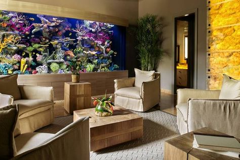 The $1 Million Aquarium: Customized Fish Tanks as Home Decor - WSJ Home Aquarium Living Rooms, Fish Tank Wall, Custom Aquarium, Wall Aquarium, Aquarium Setup, Home Aquarium, Office Reception, Fish Care, Natural Interior