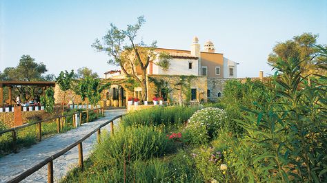 Agreco Farm in Crete | Harving Holidays & Best Organic Restaurant Agreco Farm, Rethymno Crete, Grecian Wedding, Organic Restaurant, Greece Destinations, Crete Island, Farm Activities, Rustic Italian, Greece Wedding