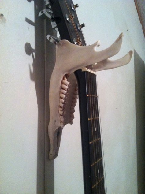 Homemade guitar wall hanger.  Made out of a white-tailed deer jaw bone. Deer Jawbone Art, Guitar Diy Decor, Deer Jaw Bone Crafts, Deer Jaw Bone Art, Diy Taxidermy, Diy Guitar Stand, Deer Antler Ideas, Bone Guitar, Diy Den