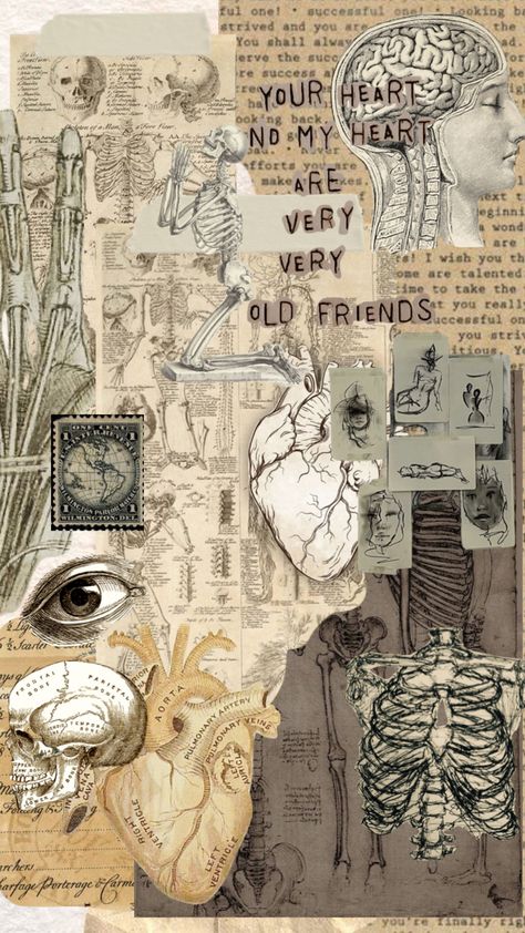 #anatomy #vintage Science Collage Aesthetic, Anatomy Background, Anatomy Collage, Science Collage, Vintage Medical Art, Anatomy Vintage, Vintage Anatomy, Trippy Iphone Wallpaper, Red Aesthetic Grunge