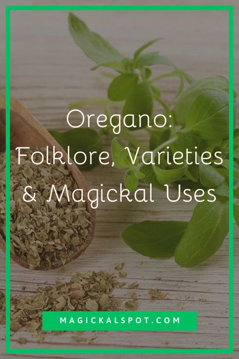 The Mediterranean herb Oregano is often used in cooking to add an intense, aromatic flavor to dishes, but its magickal and healing uses provide a deeper meaning for the ingredient. In this article, we'll explore the lore, variety, and utility of Oregano in the magickal community. From its beneficial properties to its magickal applications, we'll provide a complete picture of why this popular herb is a valuable addition to any kitchen witch pantry. Witch Pantry, Green Magic, Wiccan Spell Book, Deeper Meaning, Wiccan Spells, Kitchen Witch, Spell Book, The Mediterranean, Healing Properties