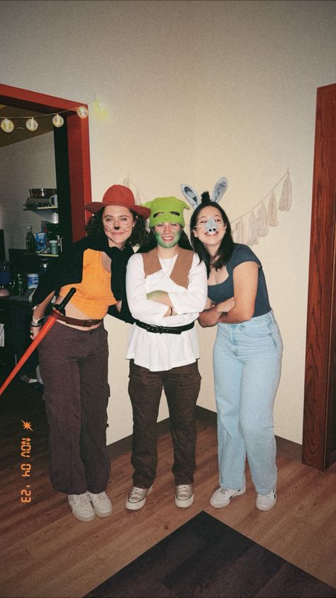 Pussin Boots Shrek And Donkey Costume, Shrek Donkey And Cat Costume, Shrek And Donkey Halloween Costume, Shrek Trio Costume, Shrek And Donkey Costume, Shrek Costume Women, Donkey Halloween Costume, Shrek Group Costume, Shrek Fancy Dress