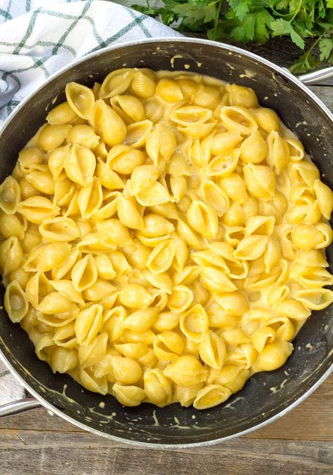 Shells and Cheese | Simply Made Recipes Shell Macaroni Recipes, Easy Shell Pasta Recipes, Medium Shells Pasta Recipes, Small Shell Pasta Recipes, Homemade Shells And Cheese, Cheesy Shells, Macaroni Shells, Cheese Shells, Good Macaroni And Cheese Recipe