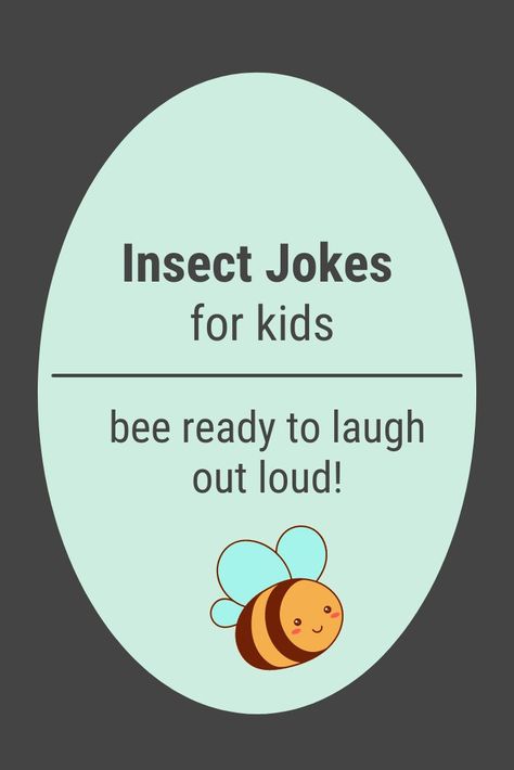 THE BEST INSECT AND BUG JOKES FOR KIDS Insect Quotes, Bugs Quotes, Bug Quotes, Bug Jokes, Bug Puns, Lunch Jokes, Laugh Out Loud Jokes, Riddles Kids, Kid Jokes