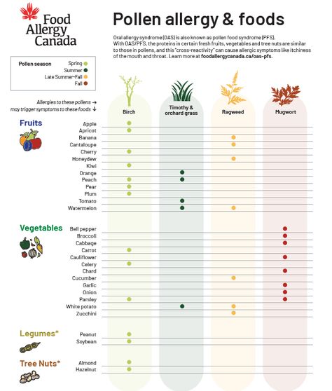 Allergy Shots Humor, Oral Allergy Syndrome Chart, Oral Allergy Syndrome Recipes, Cinnamon Allergy, Eoe Diet, Grass Allergy, Fall Allergies, Pollen Allergy, Alpha Gal