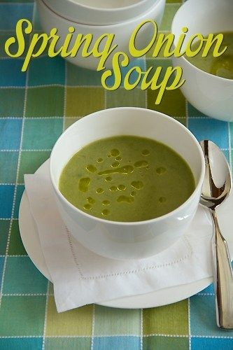 Spring Onion Soup, Spring Onion Recipes, Green Onions Recipes, Buttered Vegetables, Produce Recipes, Paleo Soup, Spring Onions, Aip Recipes, Green Onion