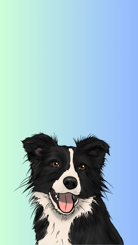 Border Collie Wallpaper, Dog Backgrounds, Dog Events, Dog Border Collie, Dog Wallpaper Iphone, Border Collie Art, Austrailian Cattle Dog, Dog Background, Wallpaper Dog