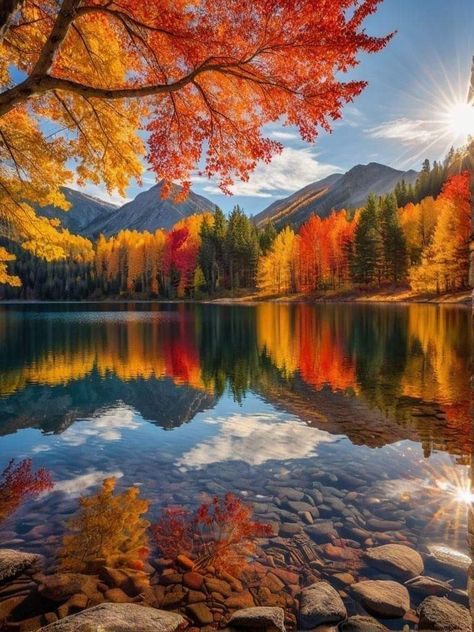 Gods Masterpiece, Reflection Photos, Fall Landscape Photography, Beautiful Landscape Photography, Beautiful Art Paintings, Wallpaper Nature Flowers, Autumn Scenes, Autumn Scenery, Autumn Beauty