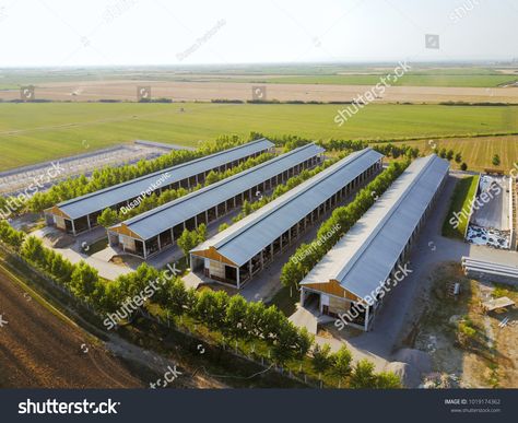 Poultry Farm Buildings, Reban Ayam, Poultry Farm Design, A Frame Chicken Coop, Plumbing Layout, Poultry House, Hydroponic Farming, Big Farm, Commercial And Office Architecture