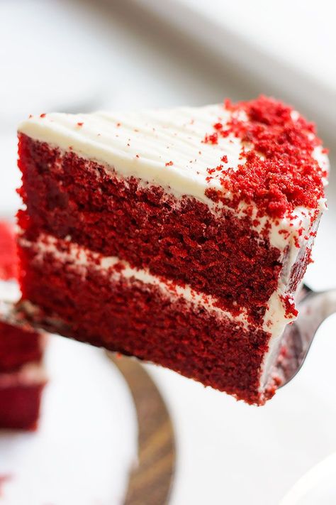 Close up image of red velvet cake slice. Red Velvet Cake Recipe Easy, Southern Red Velvet Cake, Best Red Velvet Cake, Makanan Italia, Bolo Red Velvet, Red Velvet Cake Recipe, Velvet Cake Recipes, Red Velvet Cheesecake, Keto Sweets