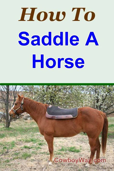 How to saddle a horse with a Western saddle. Descriptive text and step-by-step photos take you through the saddling process. The front cinch is the main item that keeps the saddle secure and upright on the horse, so, when saddling, always snug up the front cinch first, before the back cinch and/or breast collar. When unsaddling, always loosen the front cinch last. How To Tack A Horse Western Saddles, How To Put A Saddle On A Horse, How To Saddle A Horse Western, How To Put On A Western Saddle, How To Saddle A Horse, Horse Basics, Horse Groundwork, Western Horsemanship, Dressage Tests