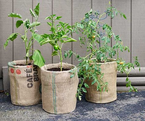 Household items: burlap-covered pails Spring Decor Front Porch, Ideas For The Garden, Burlap Crafts Diy, Old Objects, Decor Front Porch, Container Garden Design, Garden Bags, Upcycle Garden, Diy Raised Garden