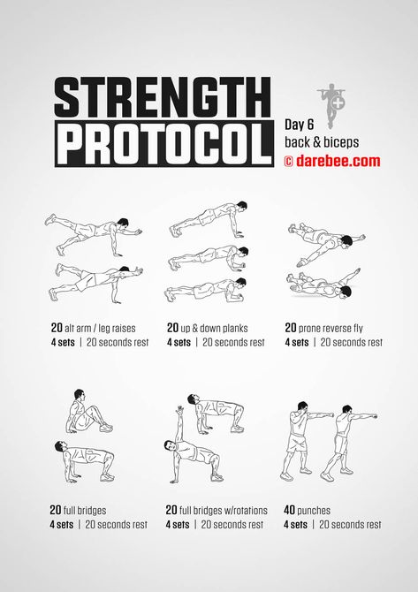 Darebee Shoulder Workout, Karate Strength Training, Darebee Daily Workout, Military Exercise Workouts, Military Press Workout, Men Exercises, Back And Biceps, Leg Raises, Workout Guide