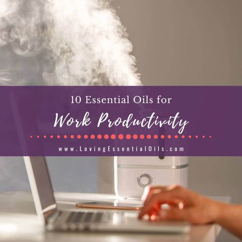 10 Best Essential Oils for Work Productivity - Office Diffuser Blends Office Diffuser Blends, Productive Office, Pine Essential Oil, List Of Essential Oils, Essential Oil Carrier Oils, Lime Essential Oil, Lime Oil, Work Productivity, Bergamot Essential Oil