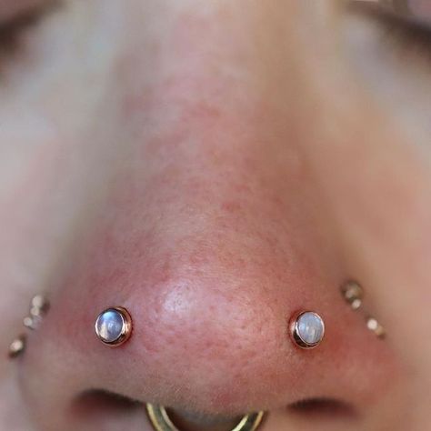 BVLA Pupil Hall Curated Ears on Instagram: "Ain't no party like a forward nostril party featuring the best of the best @duskbodyjewelry with moonstone cabochons
.
.
#moonstonebodyjewelry #duskbodyjewelry #forwardnostrils #pairednostrils" Forward Nostril Piercing, Two Nostril Piercing, Septum Stack, Pupil Hall, Curated Ears, Piercing Inspiration, Nostril Piercing, Piercing Inspo, Best Of The Best