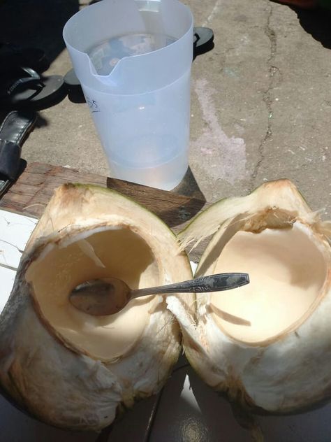 Air Kelapa, Aesthetic Food, Quick Saves, Pins