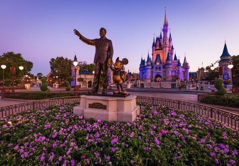 Magic Kingdom Update - May 2019 - #disney #florida #disneyworld Disney World Desktop Wallpaper, Magic Kingdom Wallpaper Aesthetic, Disneyland Hd Wallpaper, Magic Kingdom Rides By Land, Discount Disney World Tickets, Tony’s Magic Kingdom, Florida Holiday, Florida Parks, Disney World Tickets