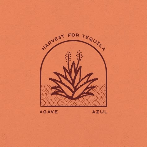 Agave Plant Tattoo Simple, Blue Agave Tattoo, Agave Plant Illustration, Tequila Graphic Design, Margarita Graphic Design, Tequila Branding Design, Agave Plant Drawing, Tequila Logo Design, Agave Aesthetic