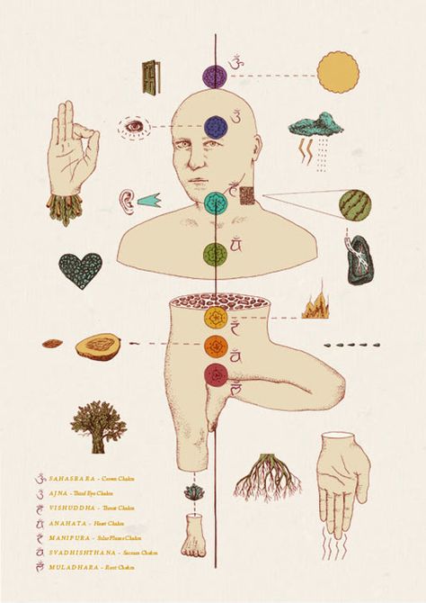 Chakras Astetic, Chakra Map, Chakras Art, Chakra Images, Spiritual Illustration, Chakra Poster, Chakra Design, Falmouth University, Manipura Chakra