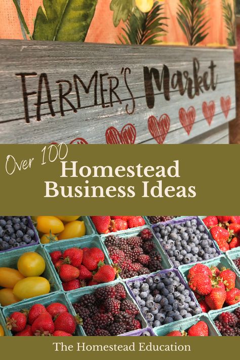 Homesteading While Working Full Time, Homesteading Business Ideas, Cottage Industry Business Ideas, Homestead Asethic, Homestead Business Ideas, Meal Worms For Chickens, Homestead Tools, Homesteading Food, Homestead Business